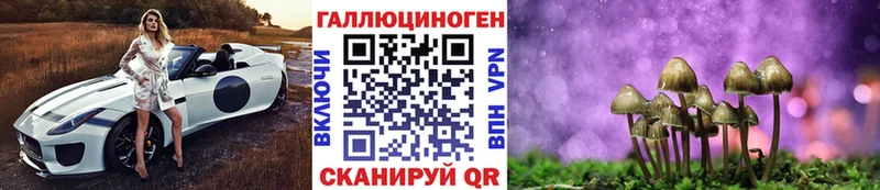 Псилоцибиновые грибы прущие грибы  хочу наркоту  Слюдянка 